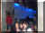 100_3237.jpg (713073 byte)