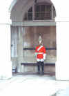 guardia2.JPG (186627 byte)
