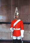 guardia.JPG (294429 byte)