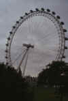 ruota panoramica3.JPG (306526 byte)