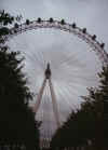 ruota panoramica5.JPG (300280 byte)