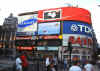 vista picadilly.JPG (155269 byte)