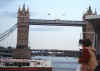 vista tower.JPG (132854 byte)