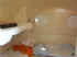 interno_banga24.JPG (33345 byte)